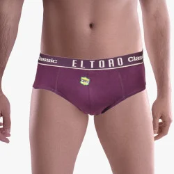 Brief